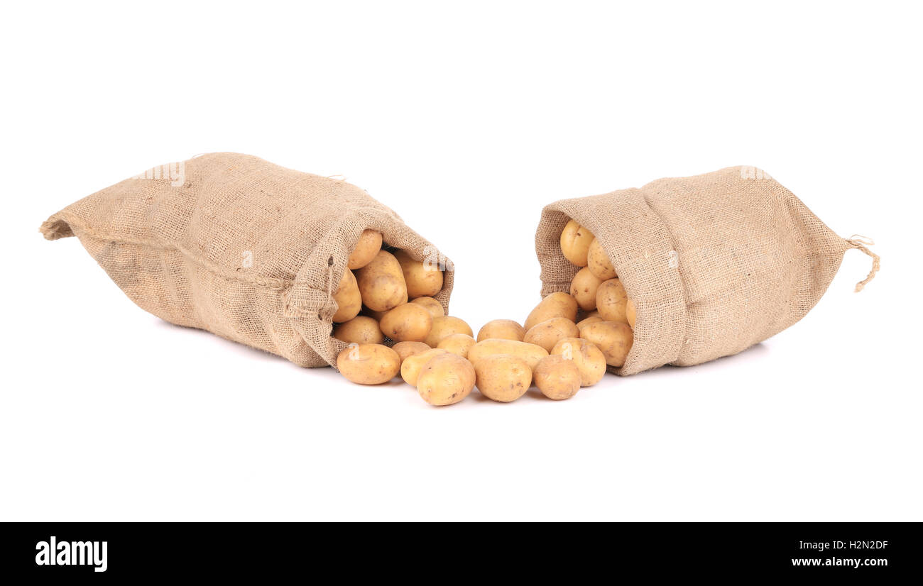 Due sacchi di tela con patate. Foto Stock