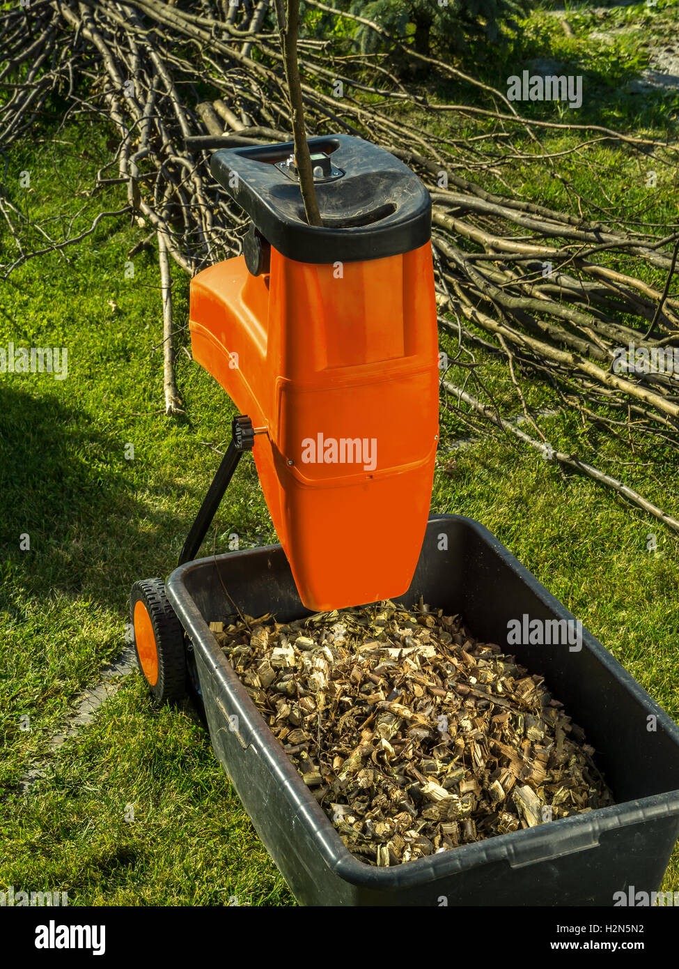 Elettrico trituratore legno con trucioli di legno usato per la pacciamatura da  giardino Foto stock - Alamy