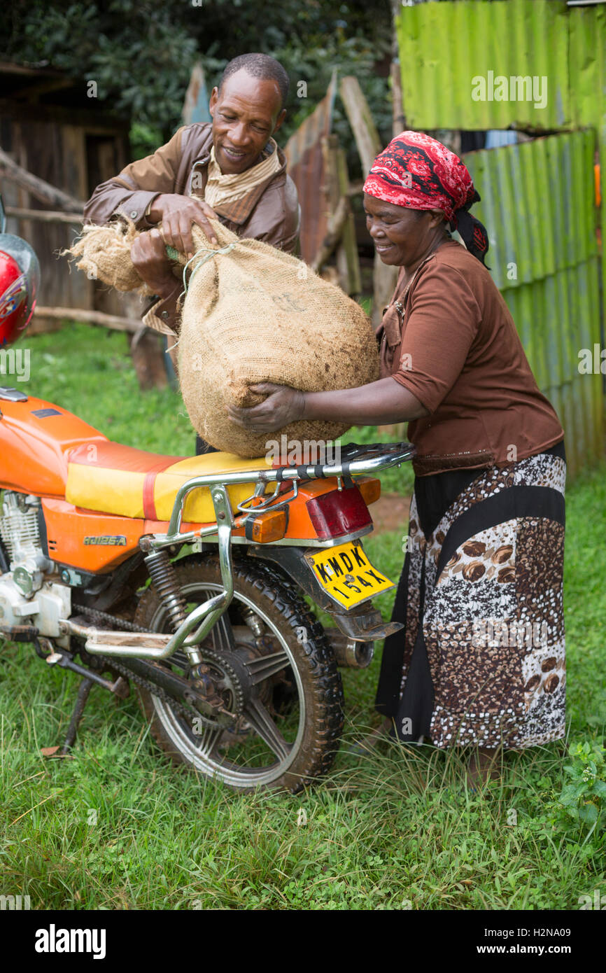 Motocicli sono utilizzati per il trasporto dei prodotti agricoli dopo il raccolto nella contea di Kirinyaga, Kenya. Foto Stock