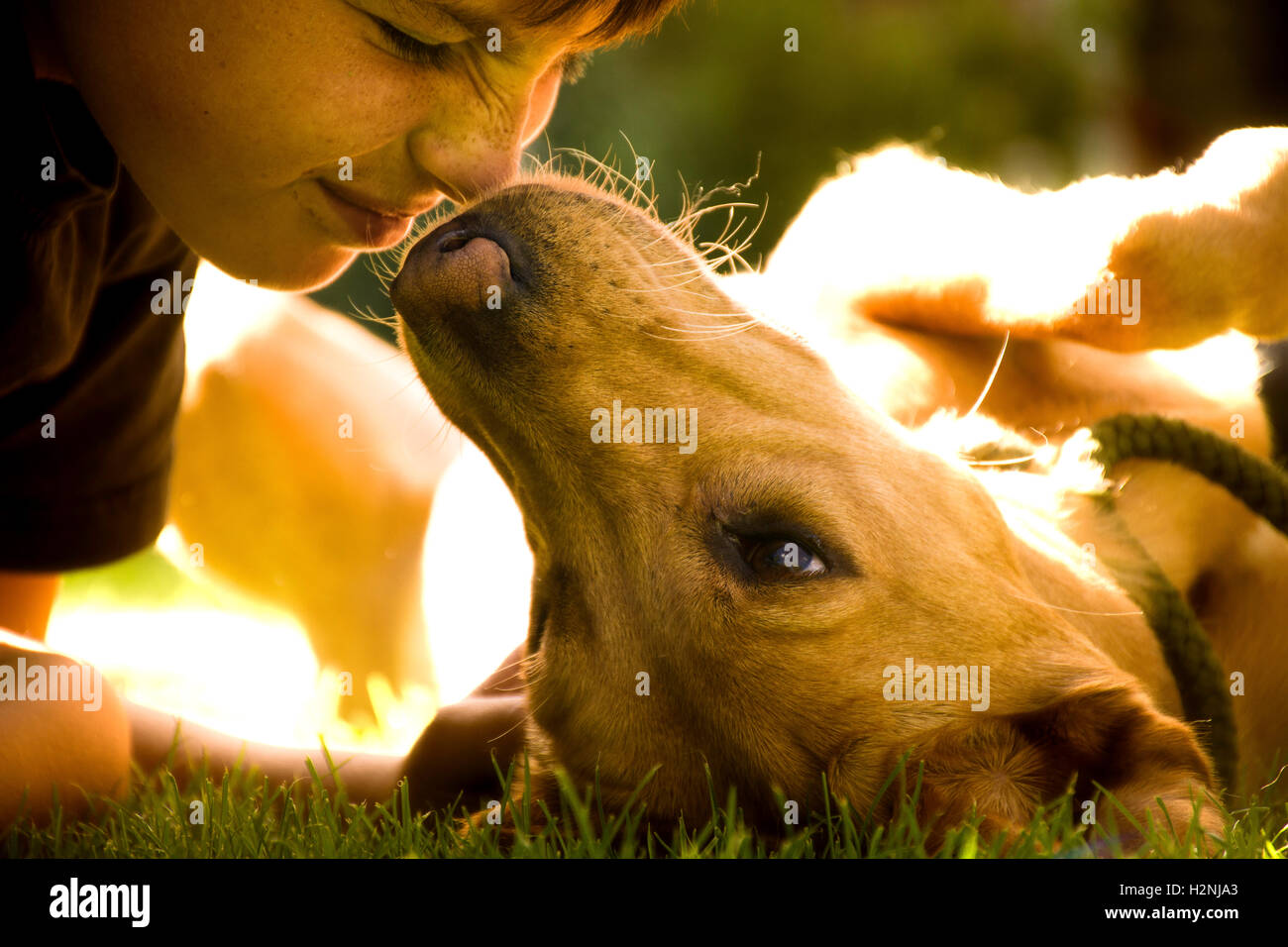 Un ragazzo cuddling il suo cane Foto Stock