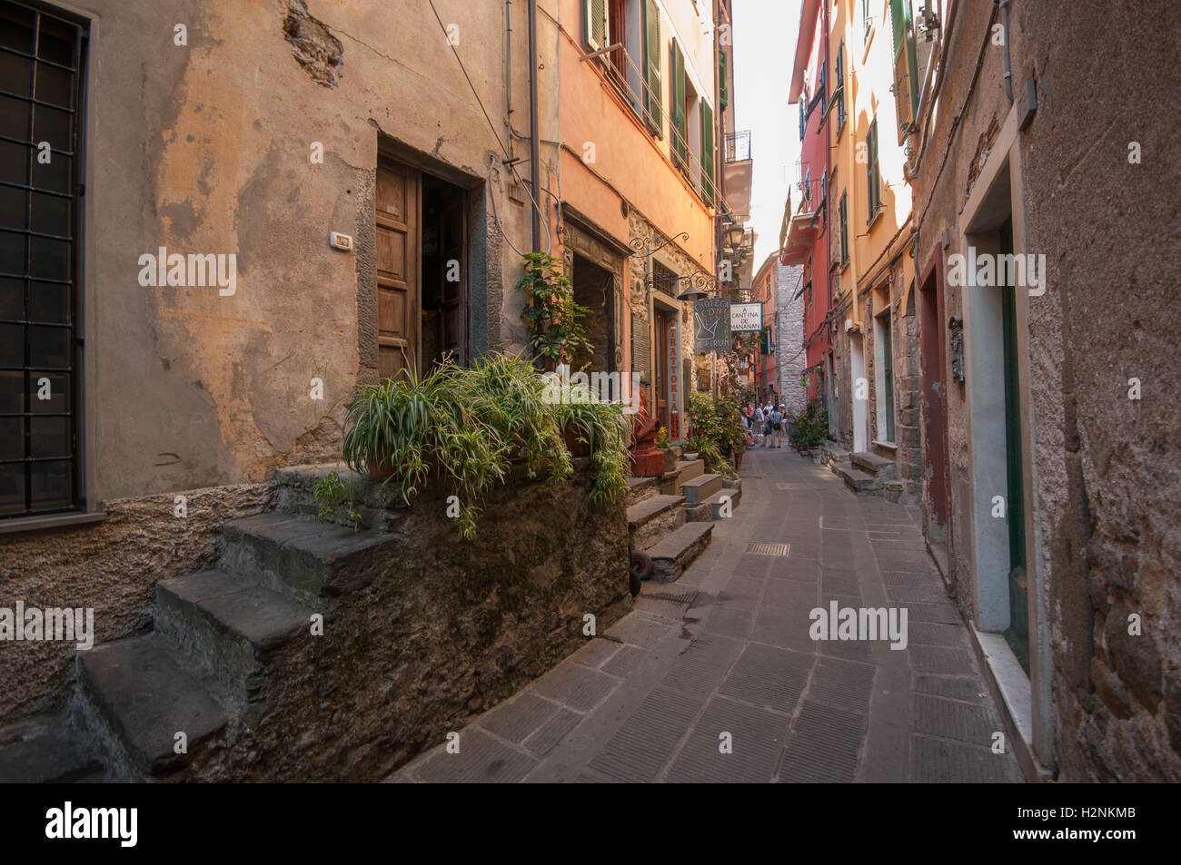 Uno di Corniglia la principale percorsi attraverso la città vecchia, Corniglia, Cinque Terre, Italia, Settembre Foto Stock