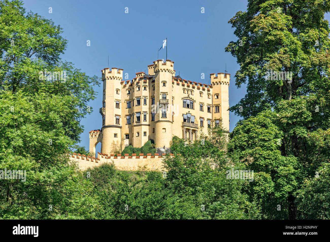 Il castello di Hohenschwangau" in Germania circondato da alberi. Foto Stock