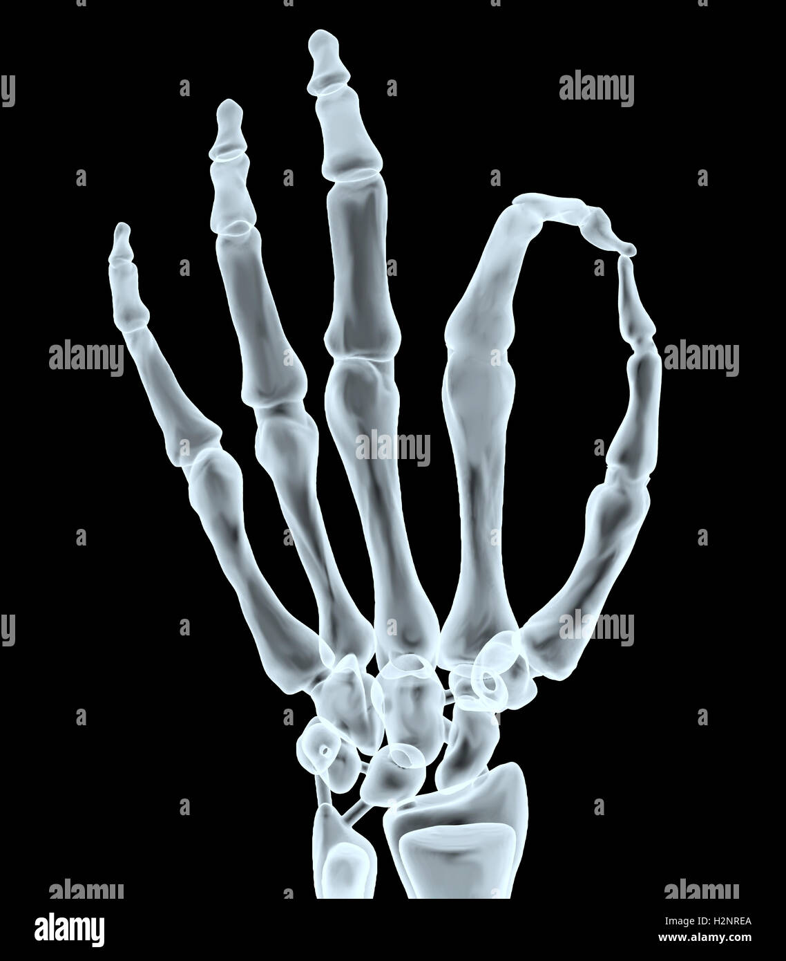X-ray mano rendendo ok gesto, 3d illustrazione Foto Stock