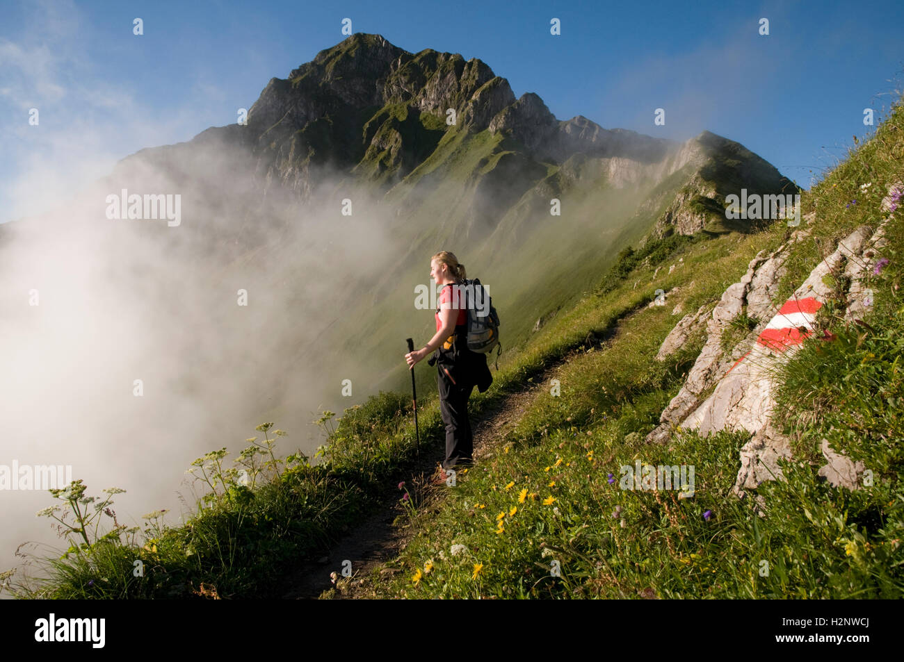 Escursionista su Mt. Eisenerzer Reichenstein, Eisenerz, Stiria, Austria, Europa Foto Stock