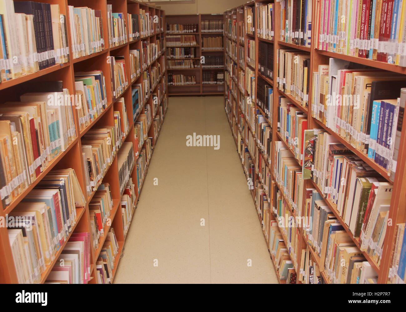 Biblioteca libri su uno scaffale nella libreria Foto Stock