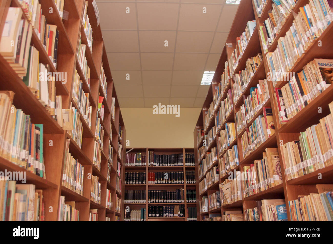 Biblioteca libri su uno scaffale nella libreria Foto Stock