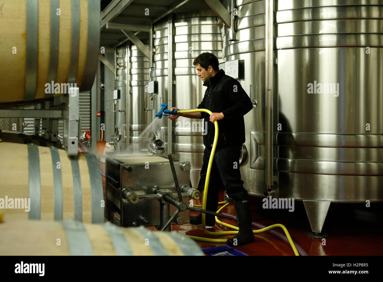 Enologo Antoine Arnault i tubi flessibili verso il basso attrezzatura di filtrazione presso la cantina del vigneto Hambledon Situato sulla South Downs Foto Stock