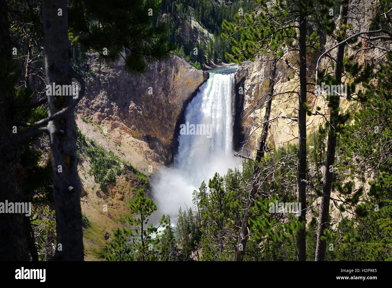 Le cascate Inferiori di Yellowstone River preso dal North Rim, il Grand Canyon di Yellowstone, il Parco Nazionale di Yellowstone Foto Stock