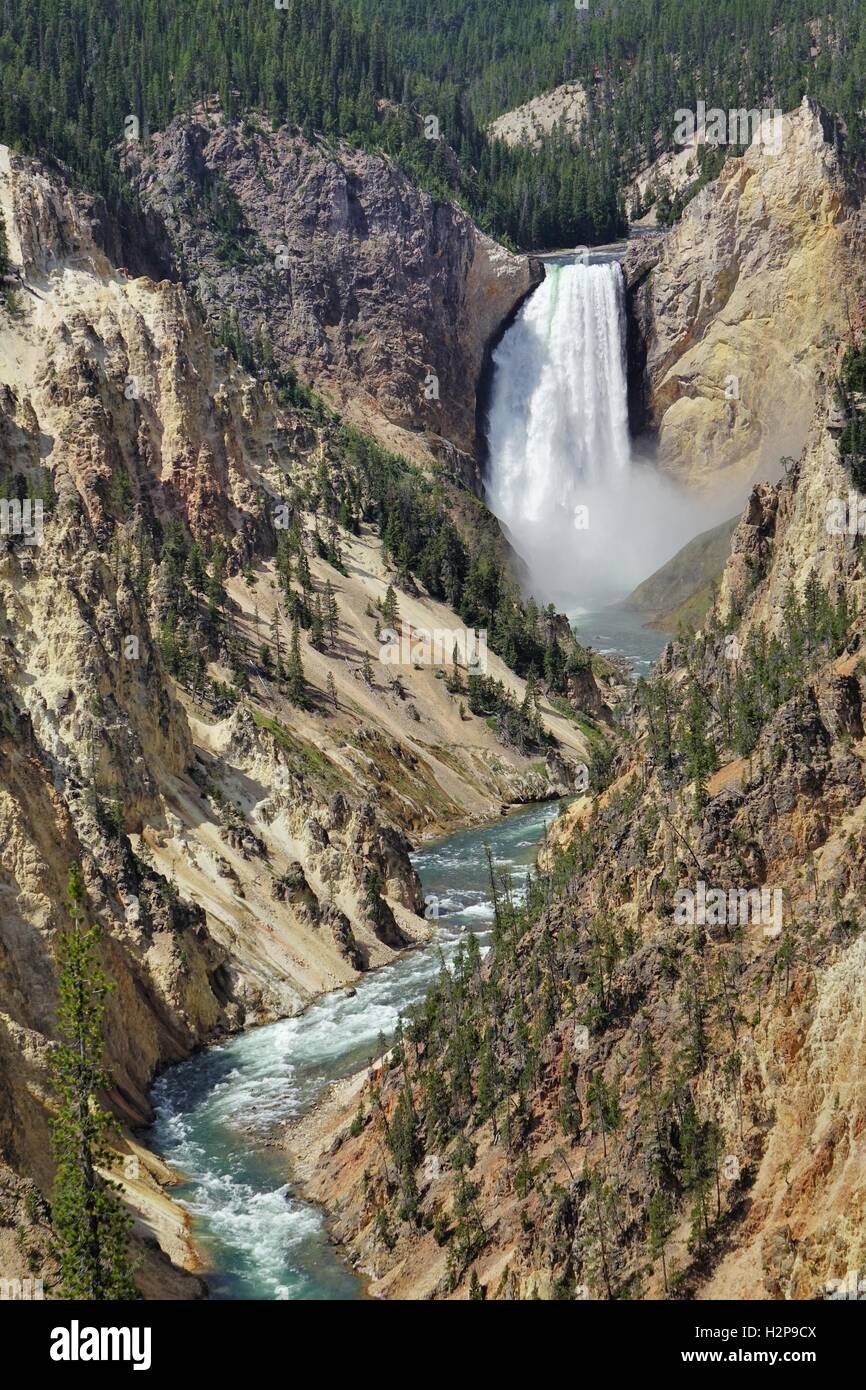 Le cascate Inferiori di Yellowstone River da Artist Point, bordo sud del Grand Canyon di Yellowstone, Yellowstone National P Foto Stock