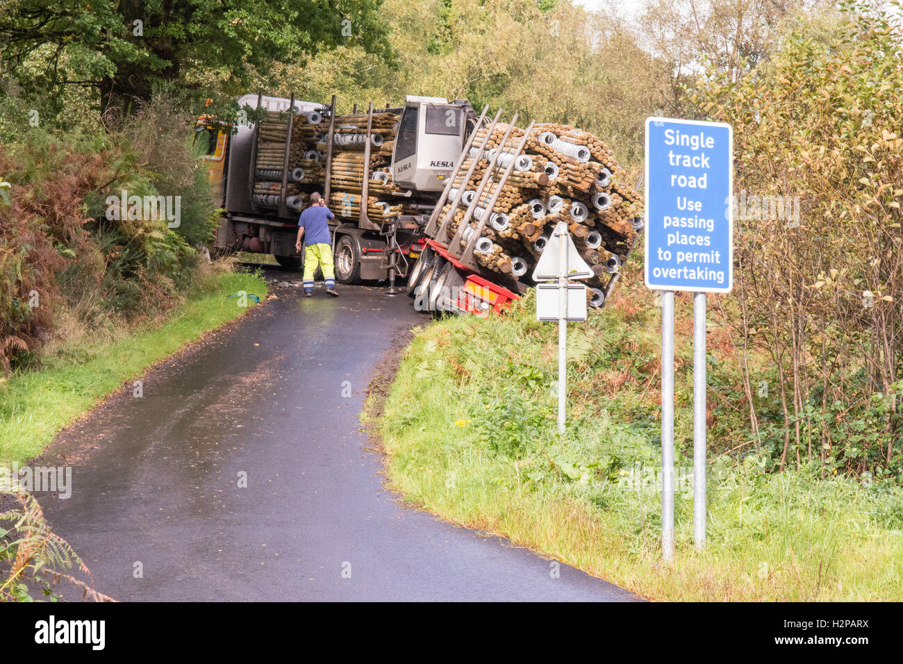 Grandi legni articolato camion che trasportano il legname scherma parzialmente sfilato stretta carrareccia in Scozia, Regno Unito Foto Stock