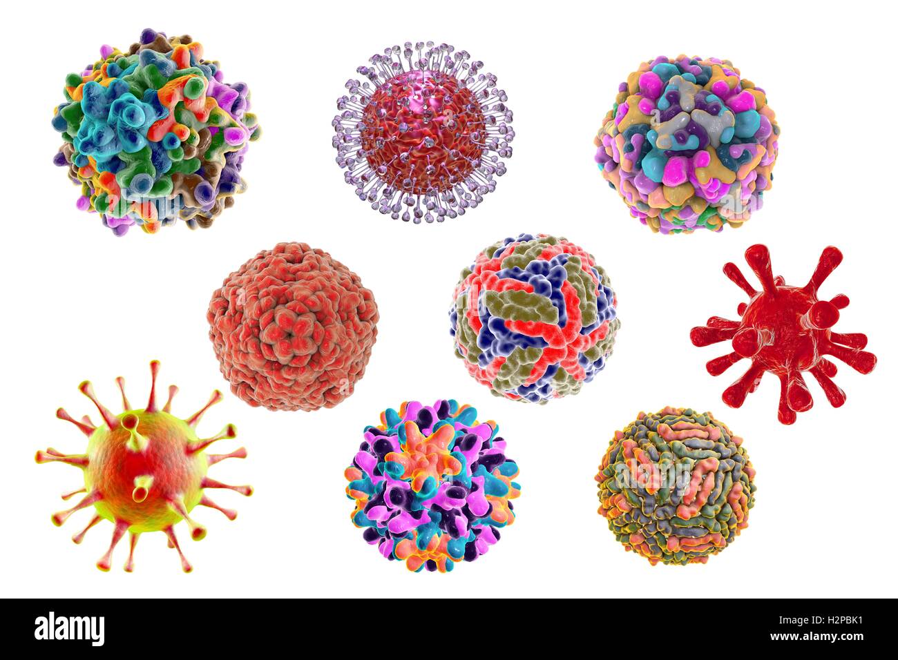 Human virus patogeni, illustrazione del computer. Foto Stock