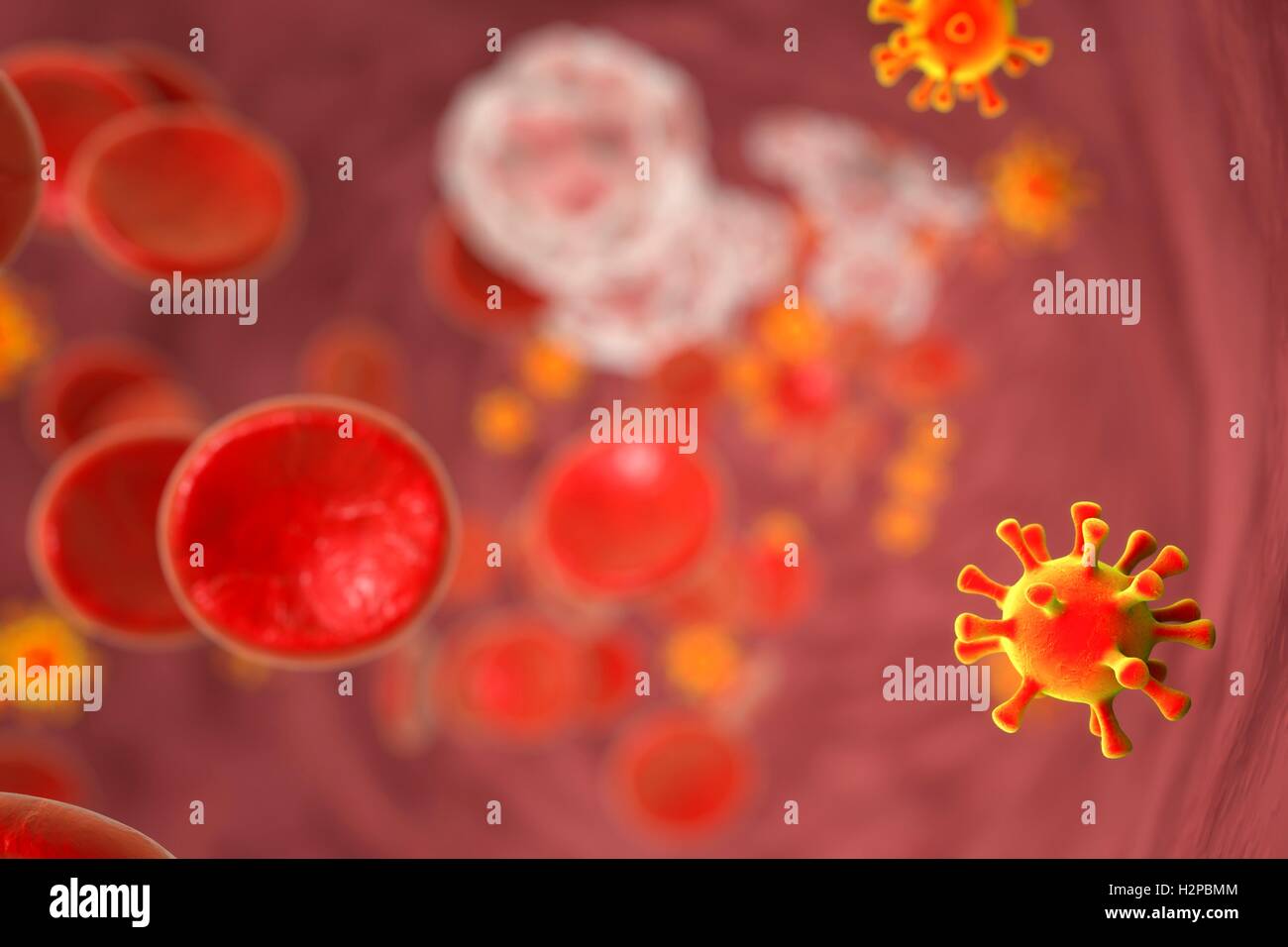 Illustrazione di Virus di Immunodeficienza Umana (HIV) nel sangue. L' HIV è un RNA (acido ribonucleico) virus dalla famiglia Retroviridae che causa la sindrome da immunodeficienza acquisita (AIDS). Foto Stock