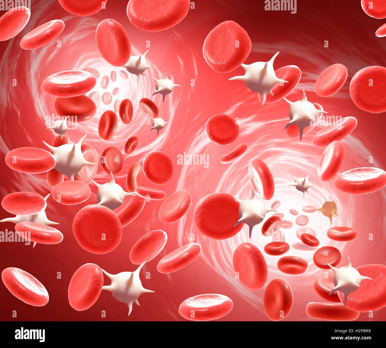 Illustrazione dei globuli rossi e dei globuli bianchi. Foto Stock