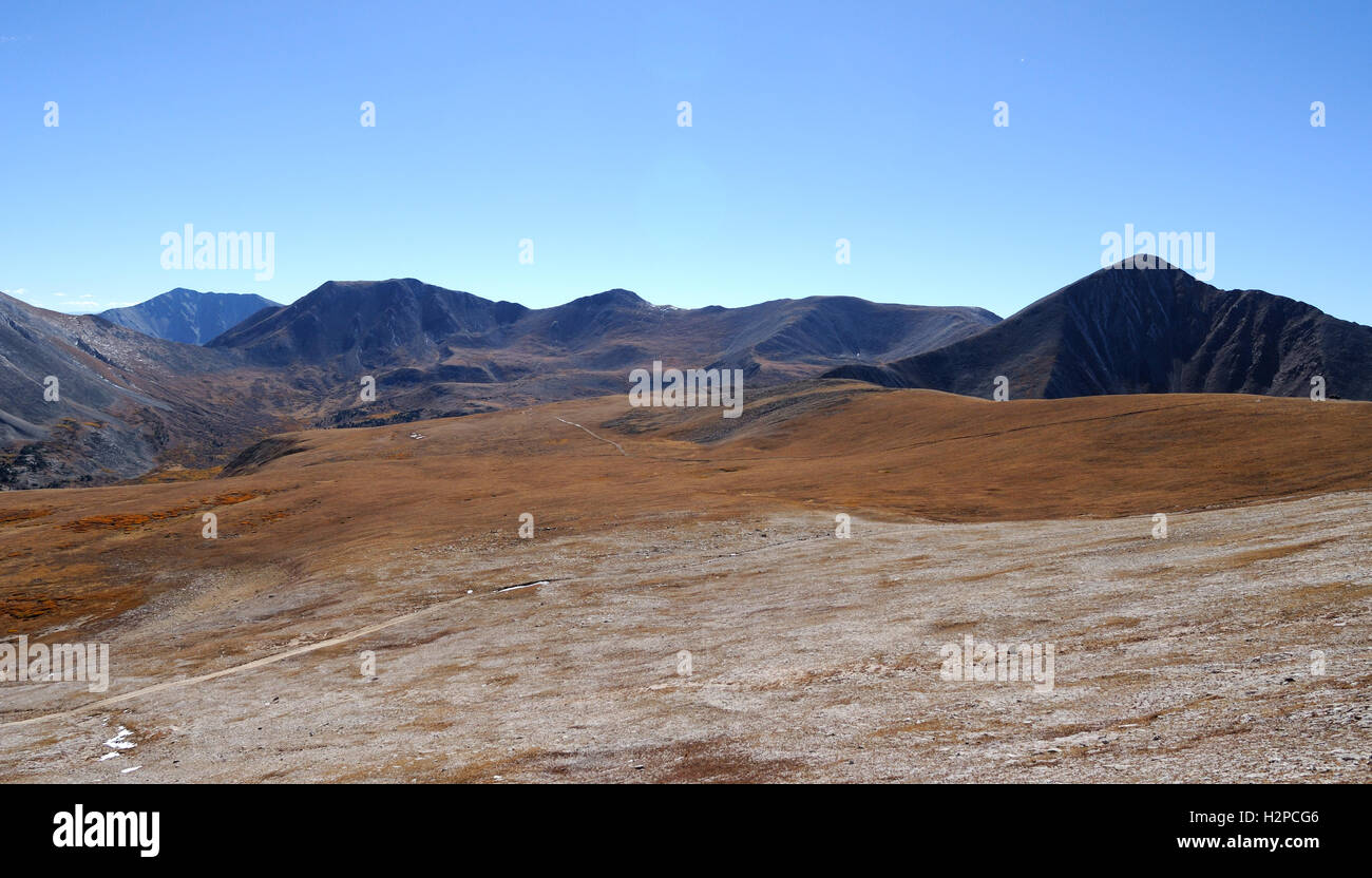 Il paese alto sopra treeline in Chaffee County, Colorado nei pressi del Monte Antero nella gamma Sawatch Foto Stock