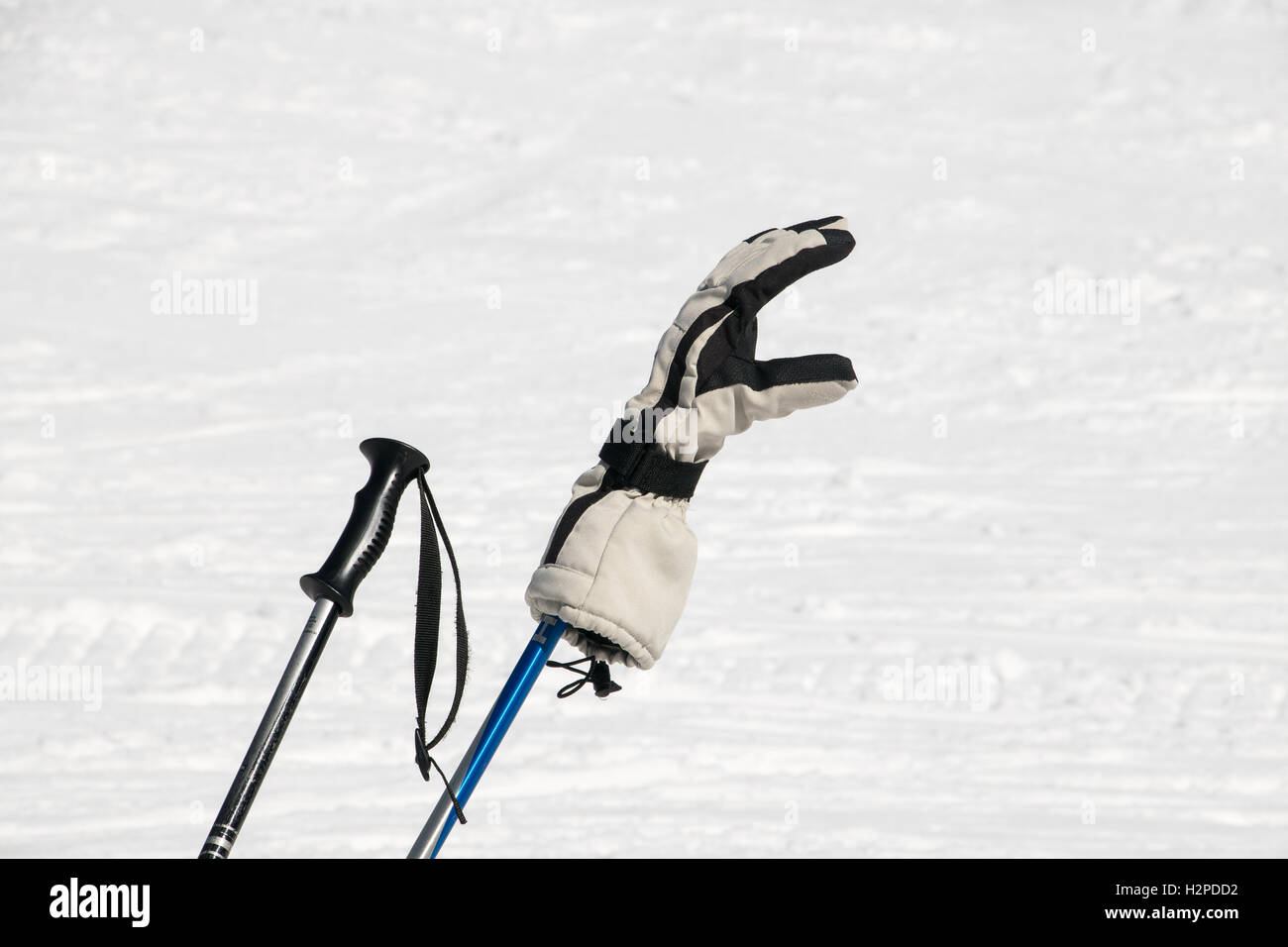 Guanto da sci sul bastoncino da sci nella neve Foto Stock