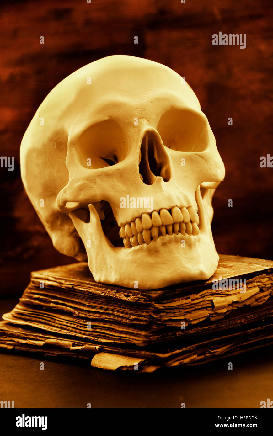 Cranio umano e vecchio libro, orrore e concetto di Halloween Foto Stock