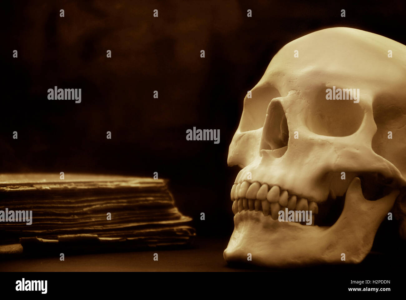 Cranio umano e vecchio libro Foto Stock