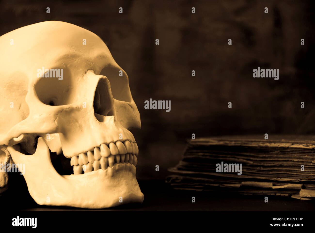 Cranio umano e vecchio libro Foto Stock