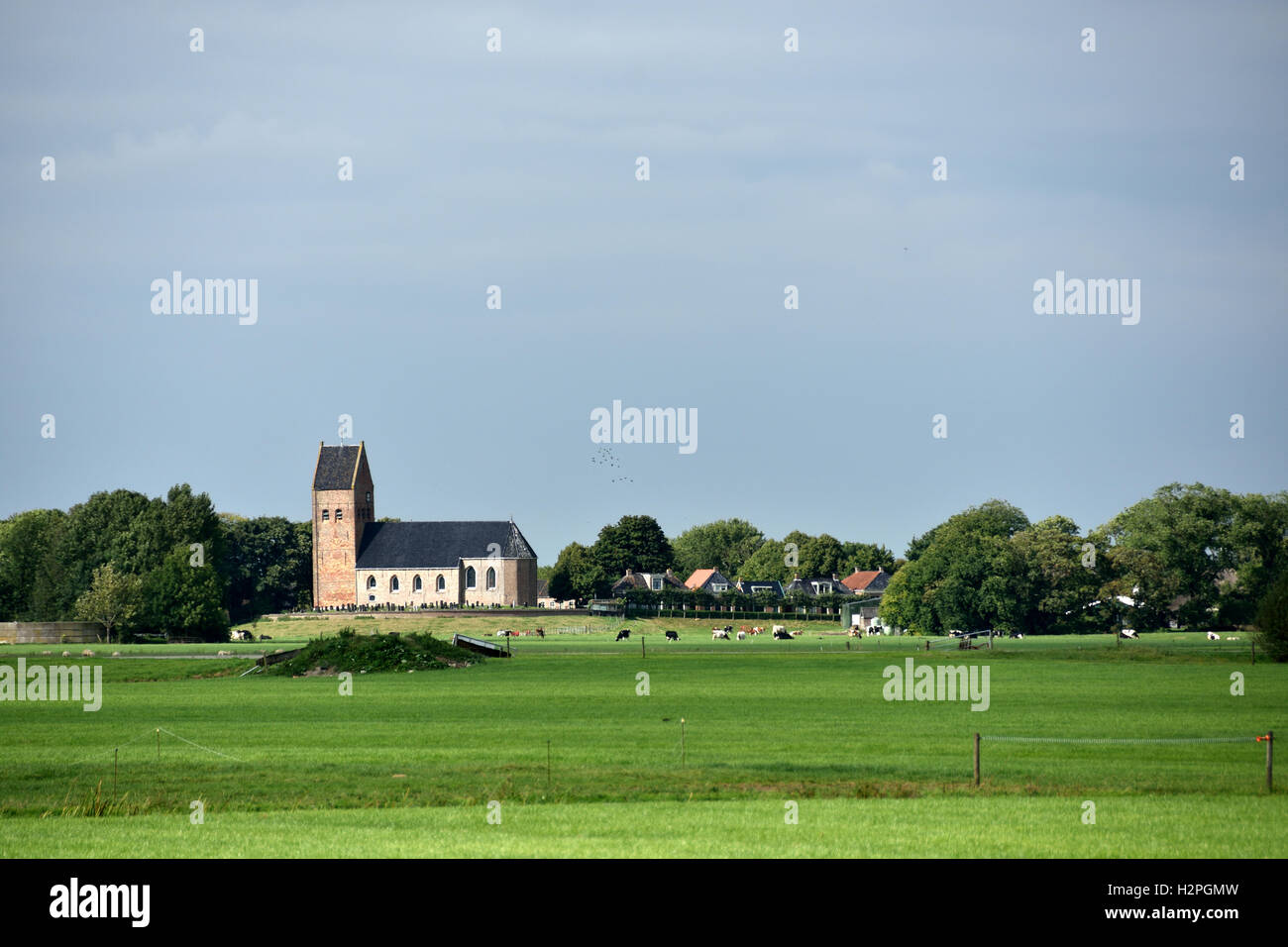 Chiesa vicino a Dokkum erba verde Farm paesaggio agricolo Friesland Fryslan Paesi Bassi Foto Stock