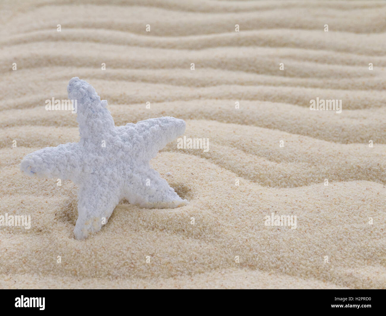 Stella bianca sulla spiaggia Foto Stock