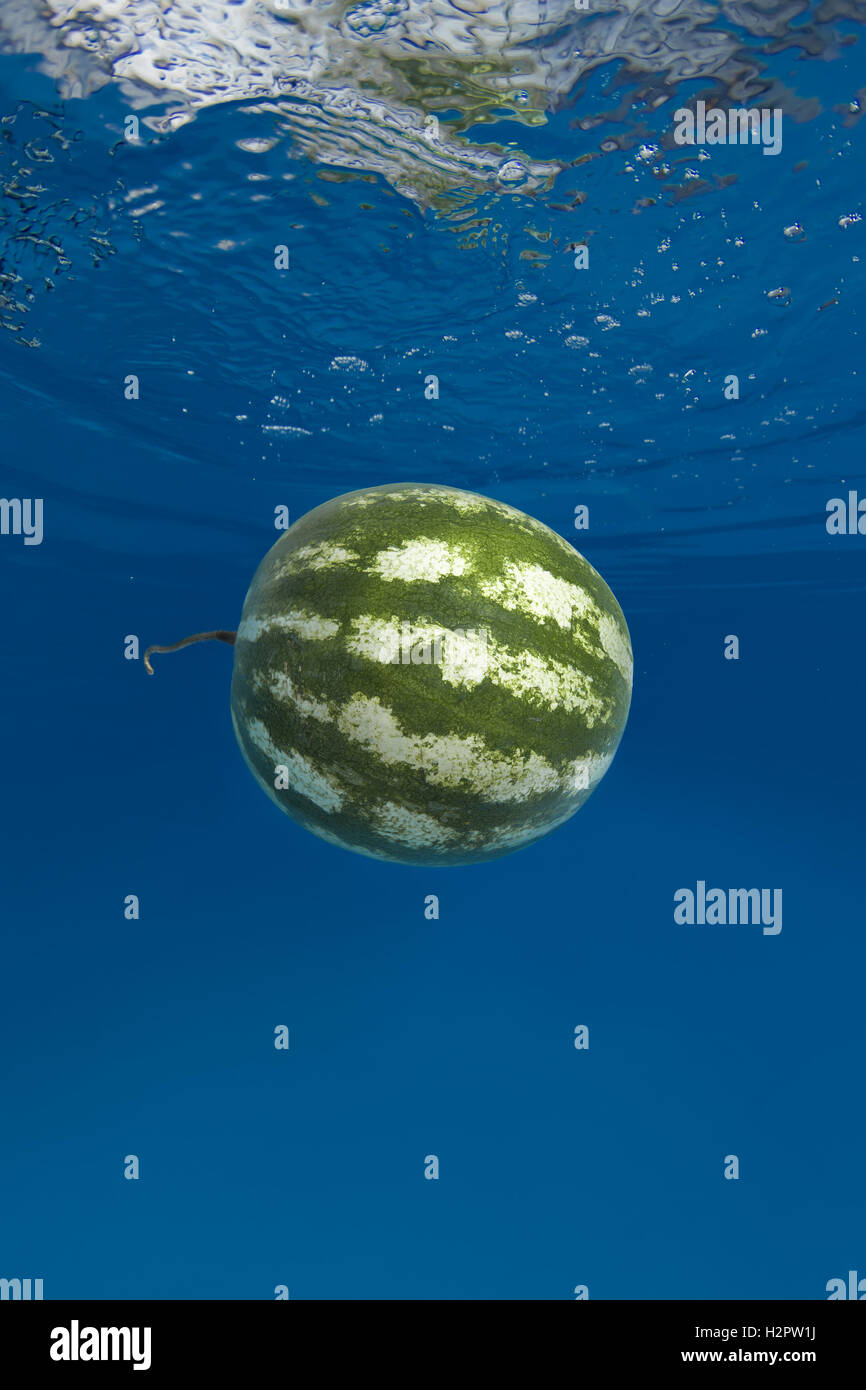Water melon spruzzi di acqua blu Foto Stock