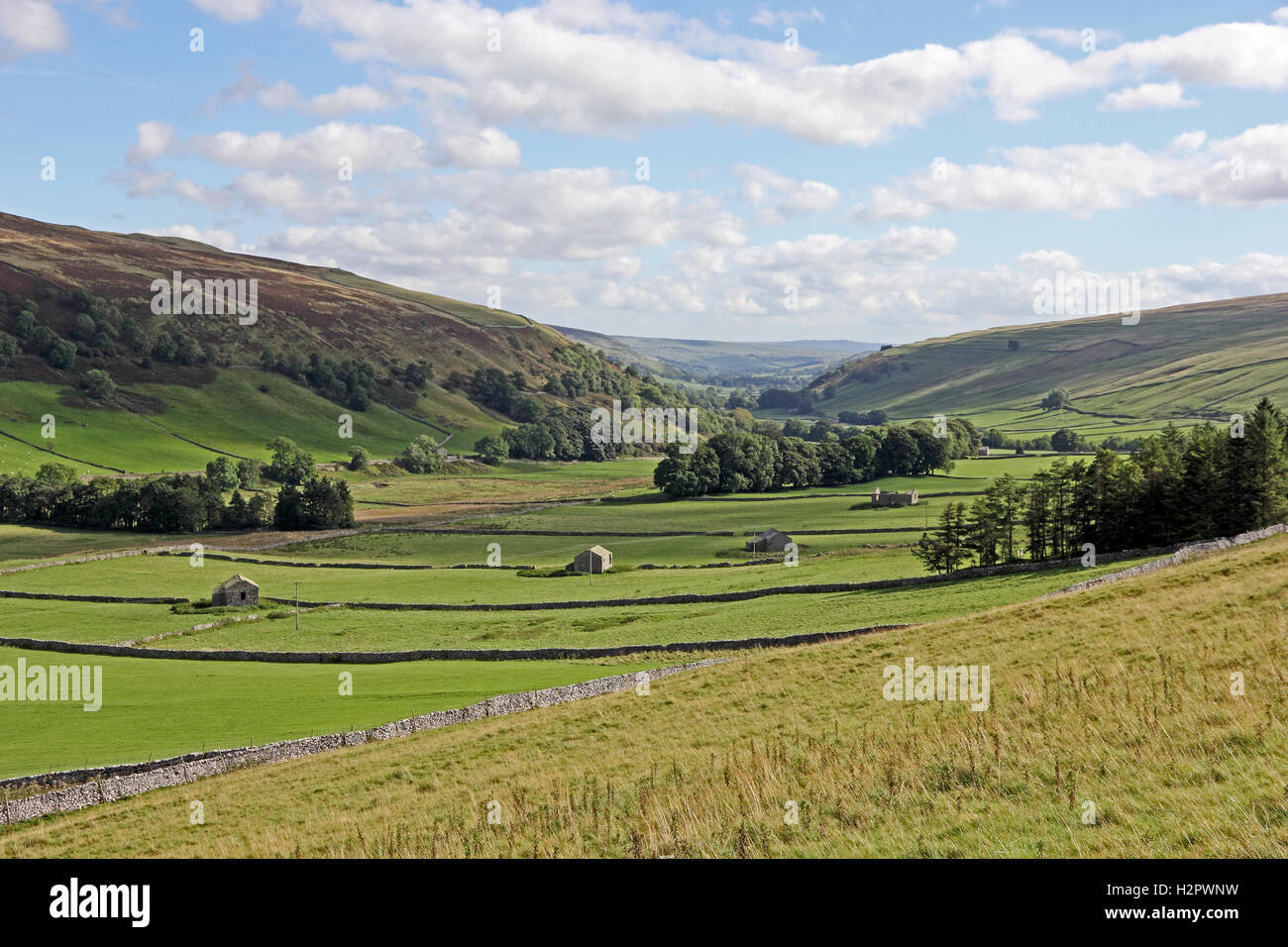 Visualizza in basso Littondale, con pietra fienili nel fondo valle, Yorkshire Foto Stock