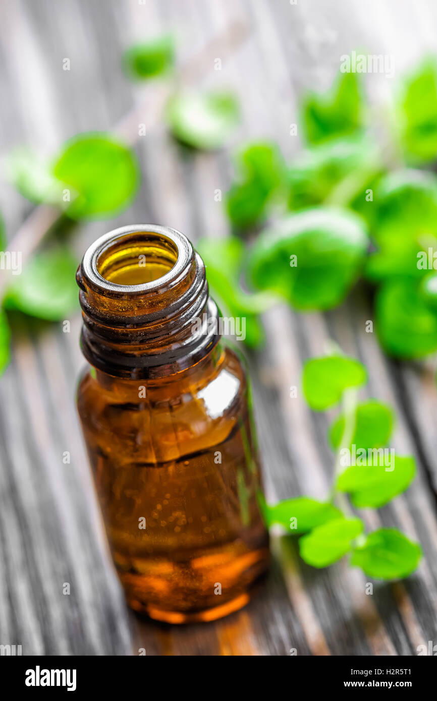 Olio di menta Foto Stock