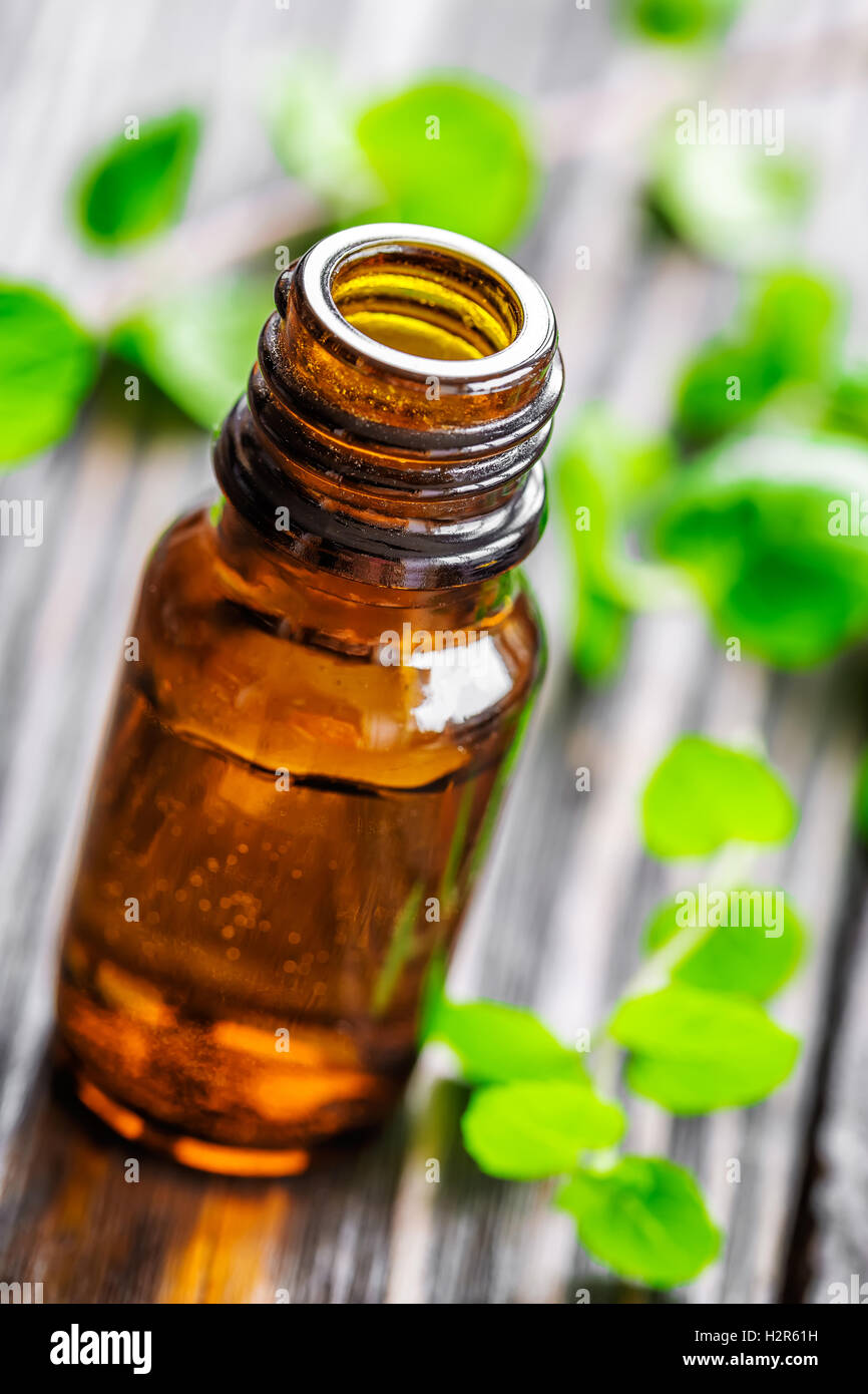 Olio di menta Foto Stock