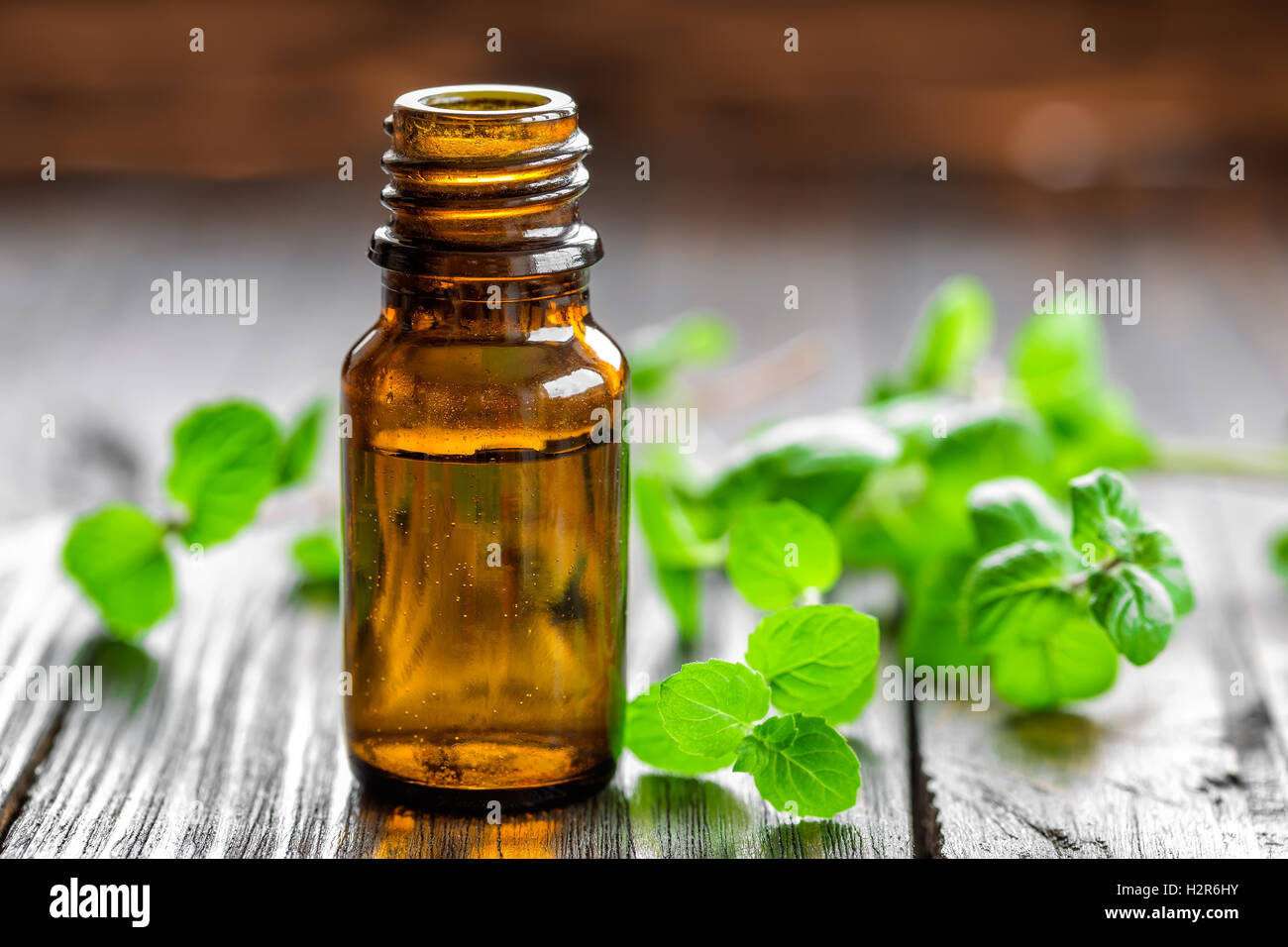 Olio di menta Foto Stock