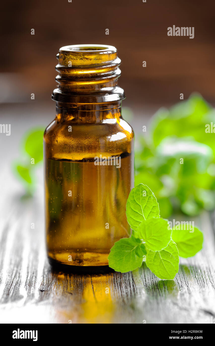 Olio di menta Foto Stock