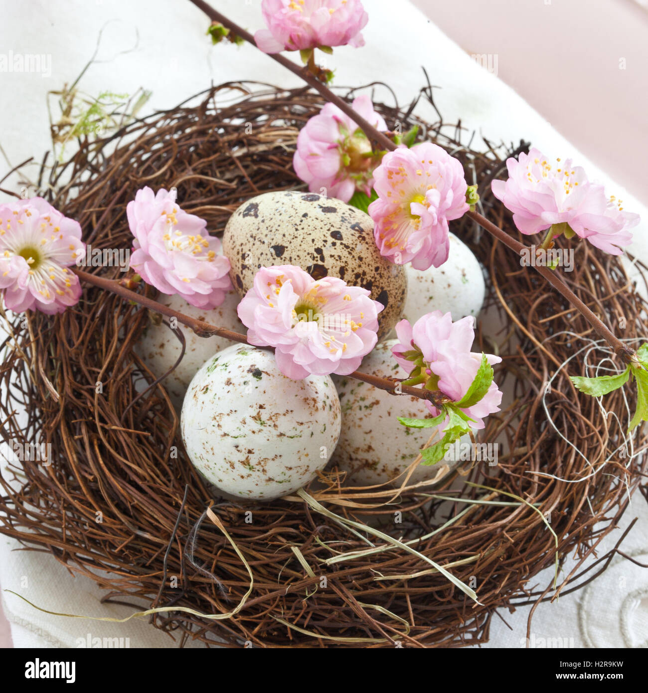 Piccolo nido di pasqua con uova di quaglia Foto Stock