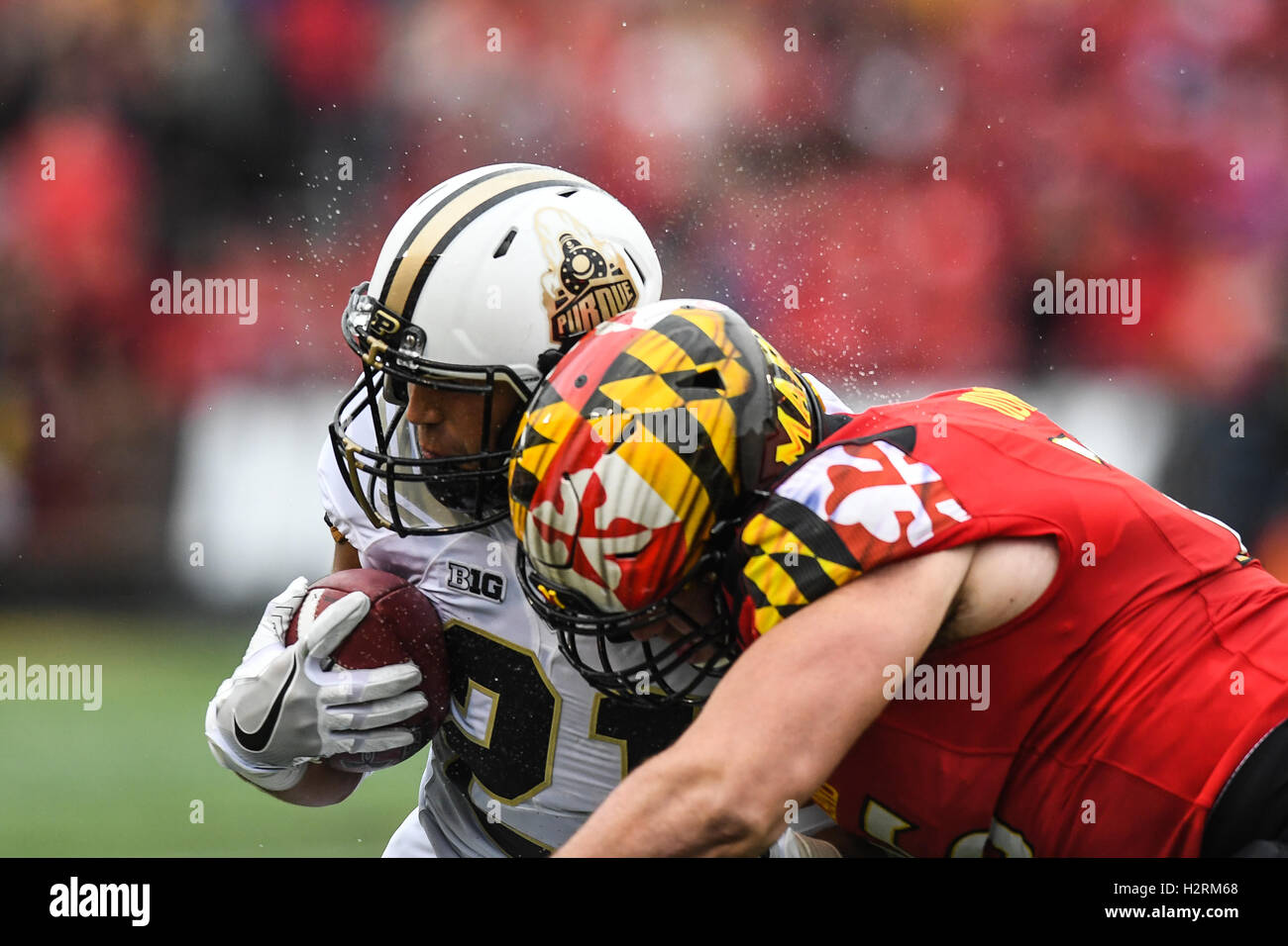 College Park, Maryland, Stati Uniti d'America. 1 Ott 2016. Lettore di Purdue ANTHONY MOOUHOUNGOU (21) è colpito da una Università di Maryland giocatore al capitale uno campo in Maryland Stadium, College Park, Maryland. Credito: Amy Sanderson/ZUMA filo/Alamy Live News Foto Stock