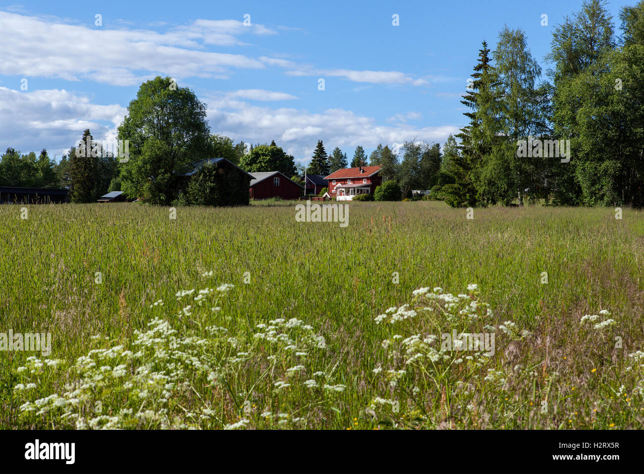 HARJEDALEN, Svezia il 08 luglio, 2016. Vista su terreni agricoli, gli edifici e il paesaggio. Estate e sole. Uso editoriale. Foto Stock