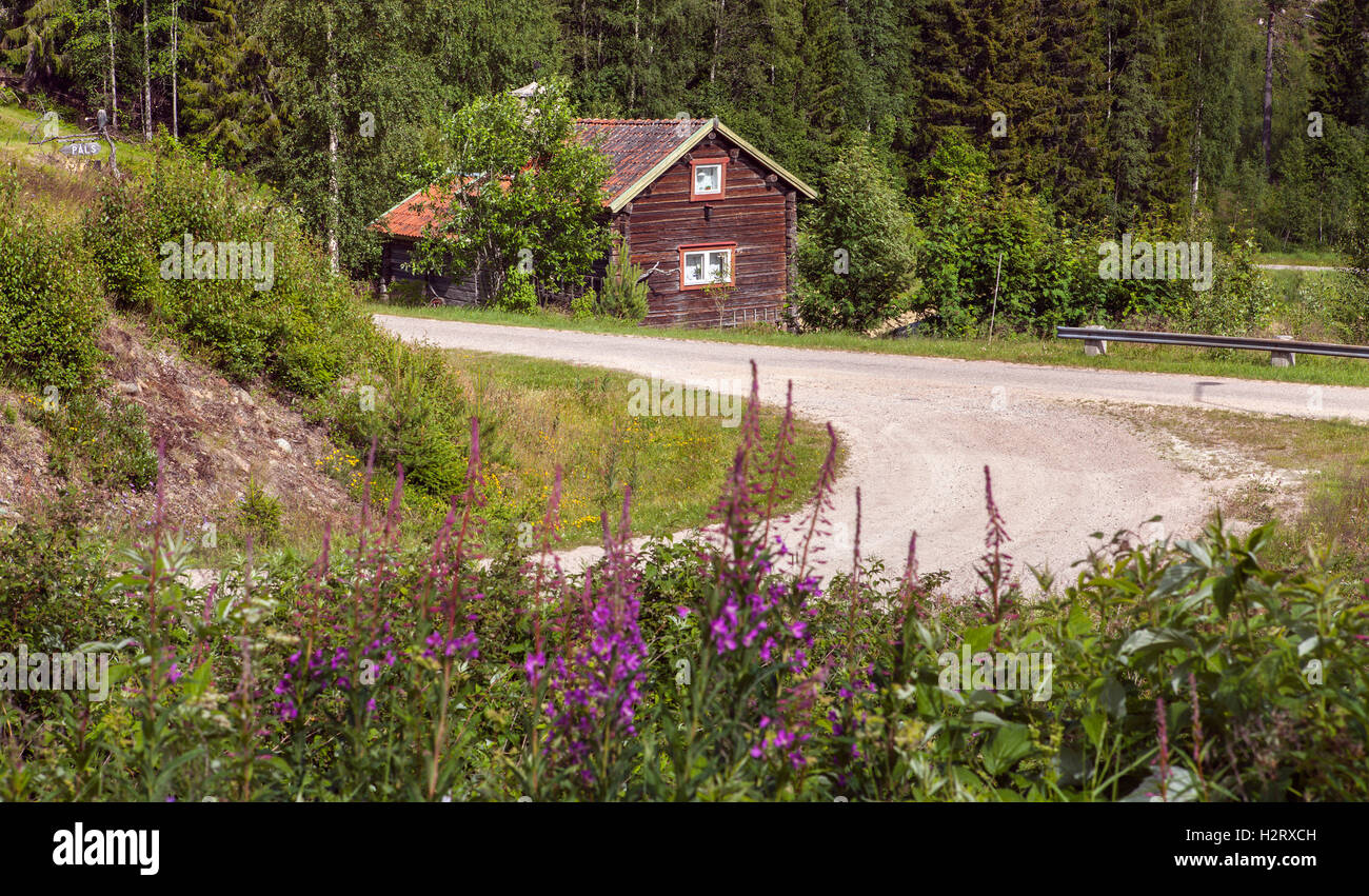 HARJEDALEN, Svezia sulla luglio 07, 2016. Vista del paesaggio rurale fino a Nord, strada di ghiaia e cabina in legno. Fiori. Editoriale. Foto Stock