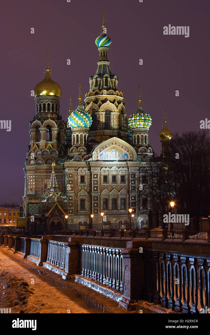 Punto di riferimento russo di San Pietroburgo a notte invernale: cattedrale ortodossa (chiesa) Spas-na-krovi (Salvatore sul Sangue) Foto Stock