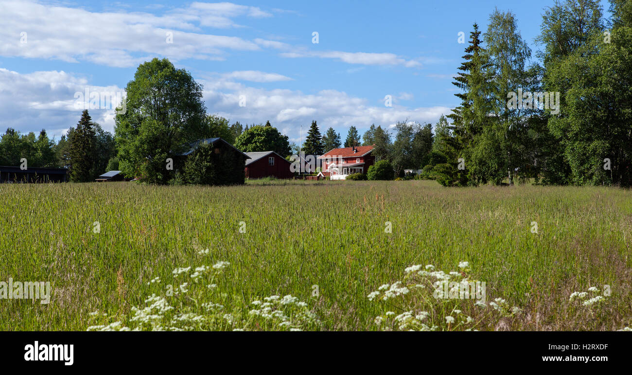 HARJEDALEN, Svezia il 08 luglio, 2016. Vista su terreni agricoli, gli edifici e il paesaggio. Estate e sole. Uso editoriale. Foto Stock