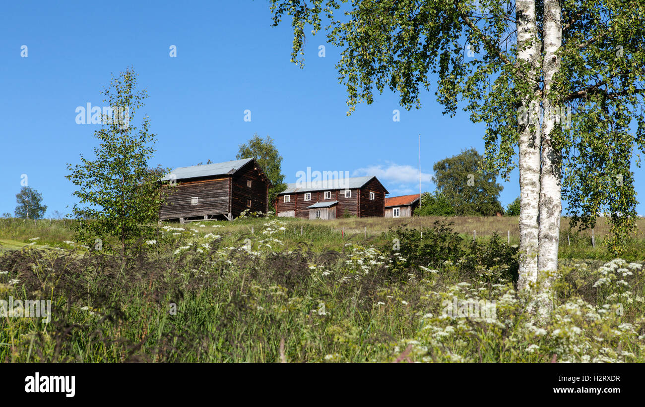 HARJEDALEN, Svezia il 08 luglio, 2016. Vista su edifici e paesaggio. L'estate. Di fiori selvaggi e alberi questo lato. Uso editoriale. Foto Stock