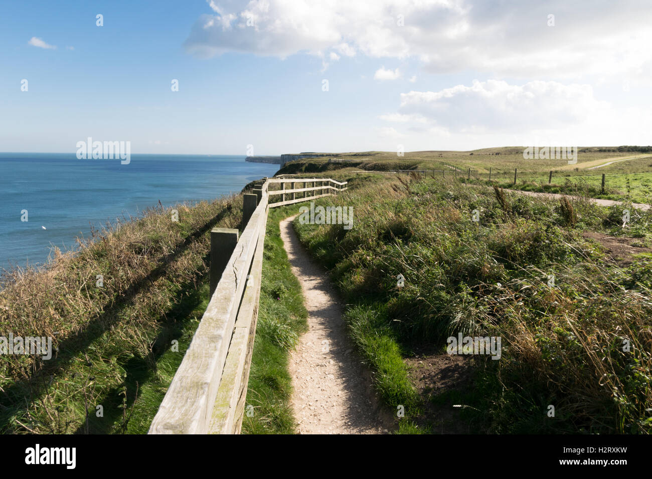 Percorso lungo le scogliere a Bempton Cliffs Foto Stock