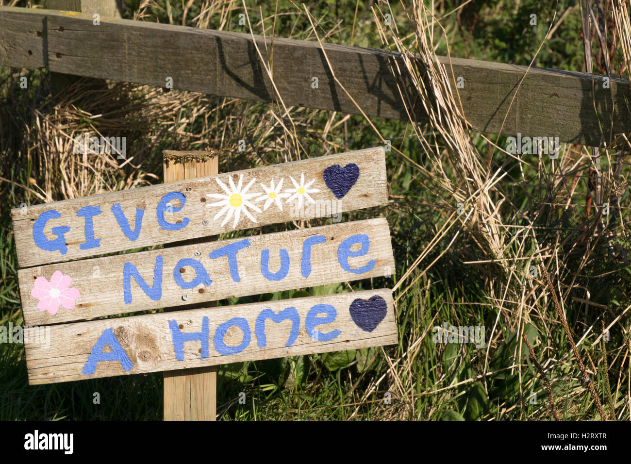Dare una natura home iscriviti a Bempton Cliffs Foto Stock