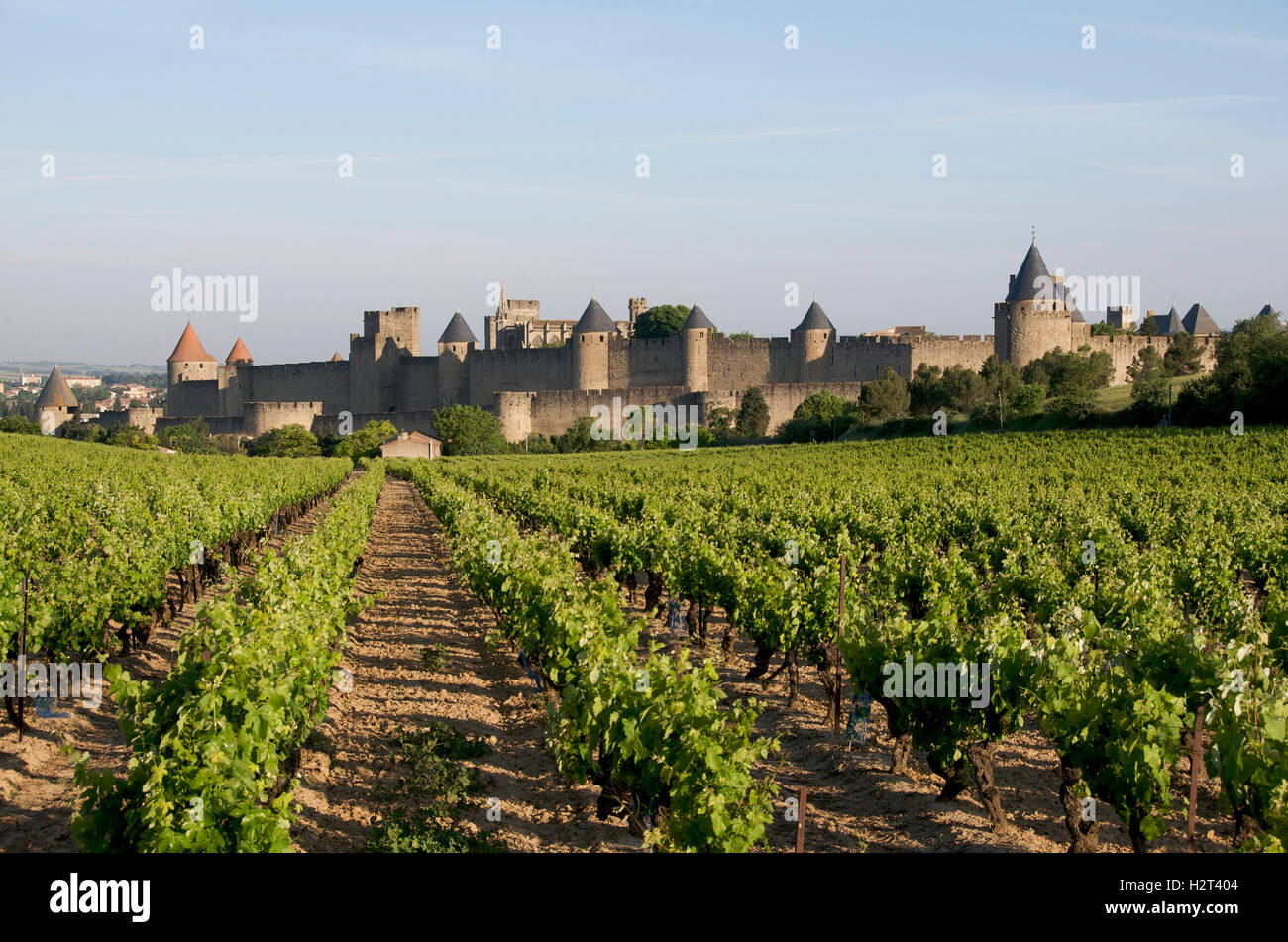 Il castello di Carcassonne, Aude, Francia, Europa Foto Stock