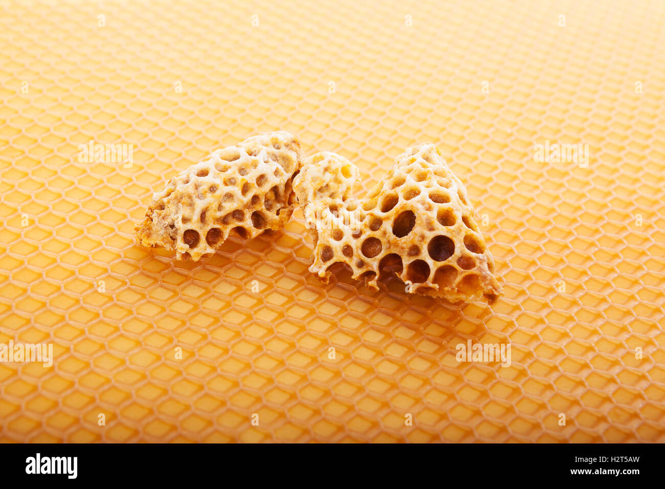 Golden apicoltura sfondo. Foto Stock