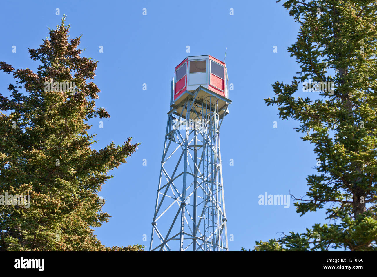 Forest Fire guardare la torre di vedetta di acciaio struttura Foto Stock