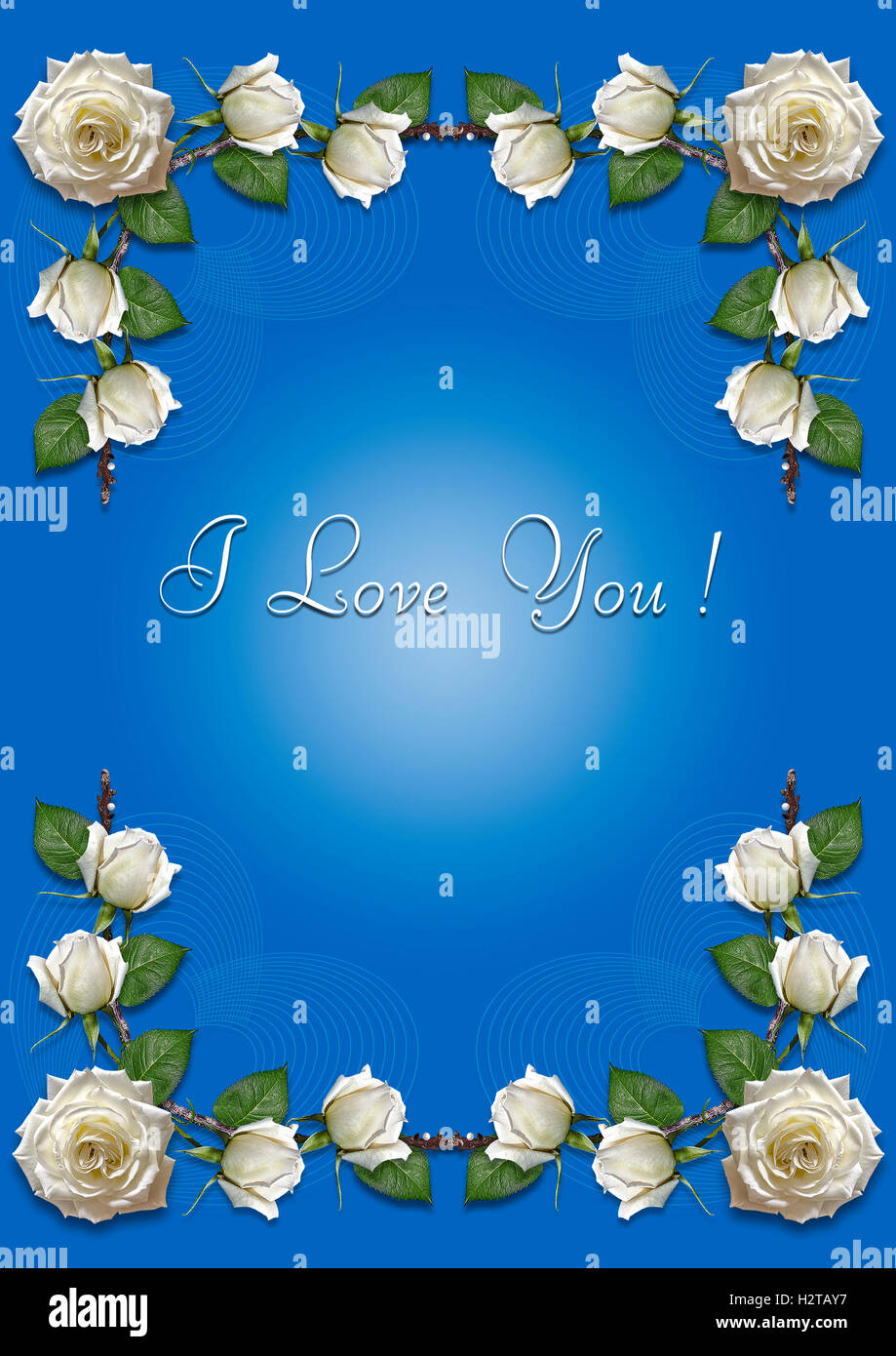 Blue biglietto di auguri con telaio di rose bianche Foto Stock