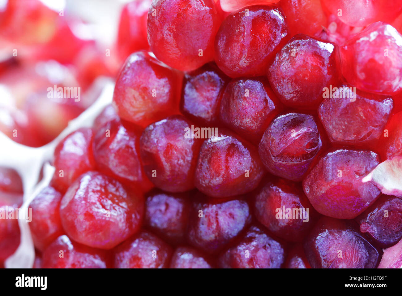 Melograno frutta rossa bella close up foto macro Foto Stock