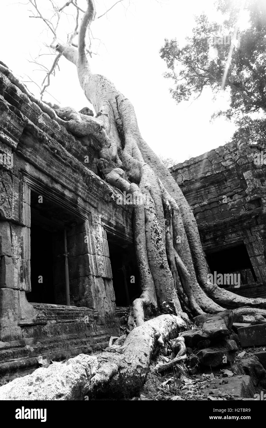 Angkor Wat, Patrimonio Mondiale dell Unesco, Siem Reap Cambogia Foto Stock
