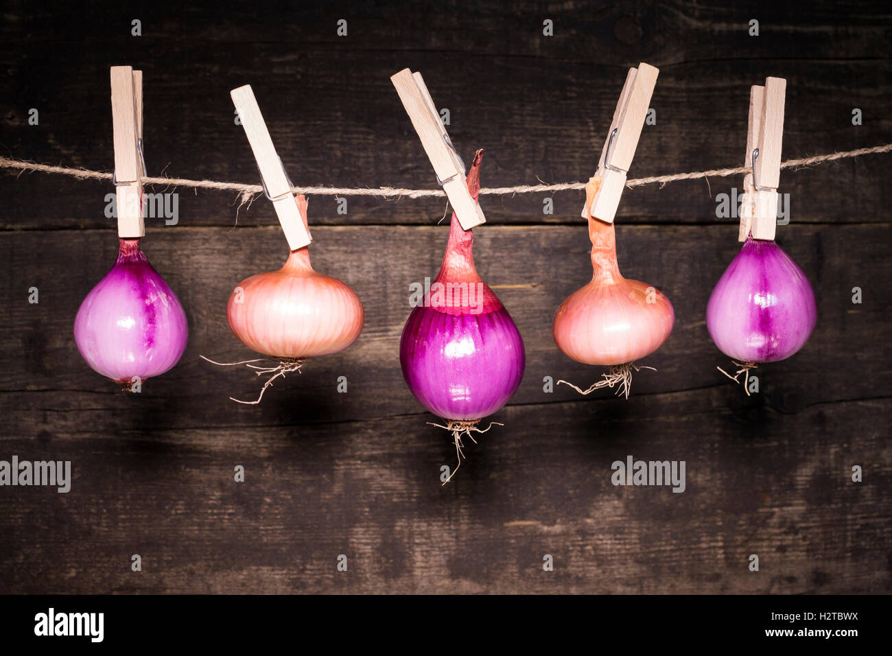 Cipolle appeso a una fune con sfondo di legno Foto Stock