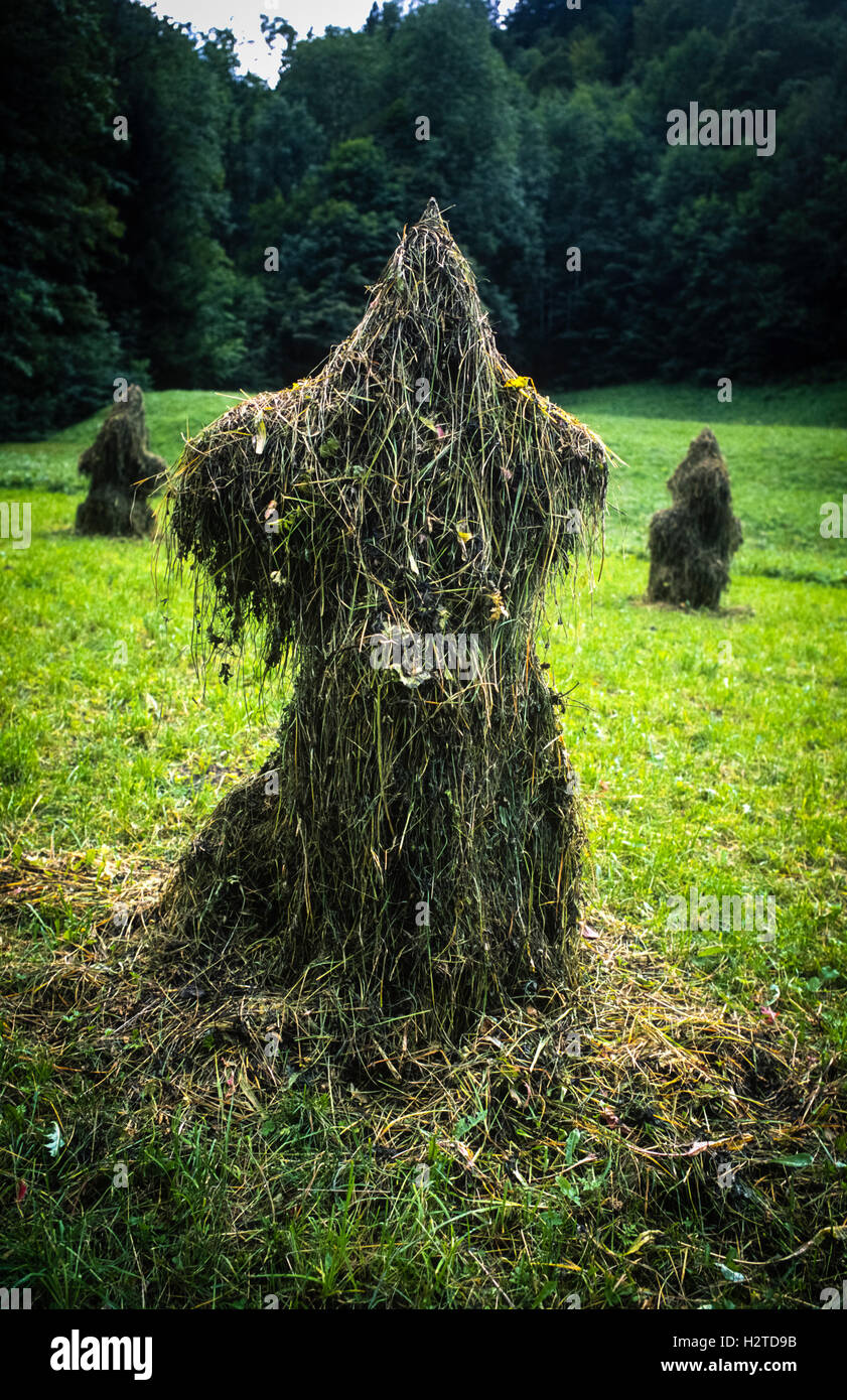 Haystacks guardando come i fantasmi di figure Partnachtal vicino a Garmisch-Partenkirchen Baviera Germania Foto Stock