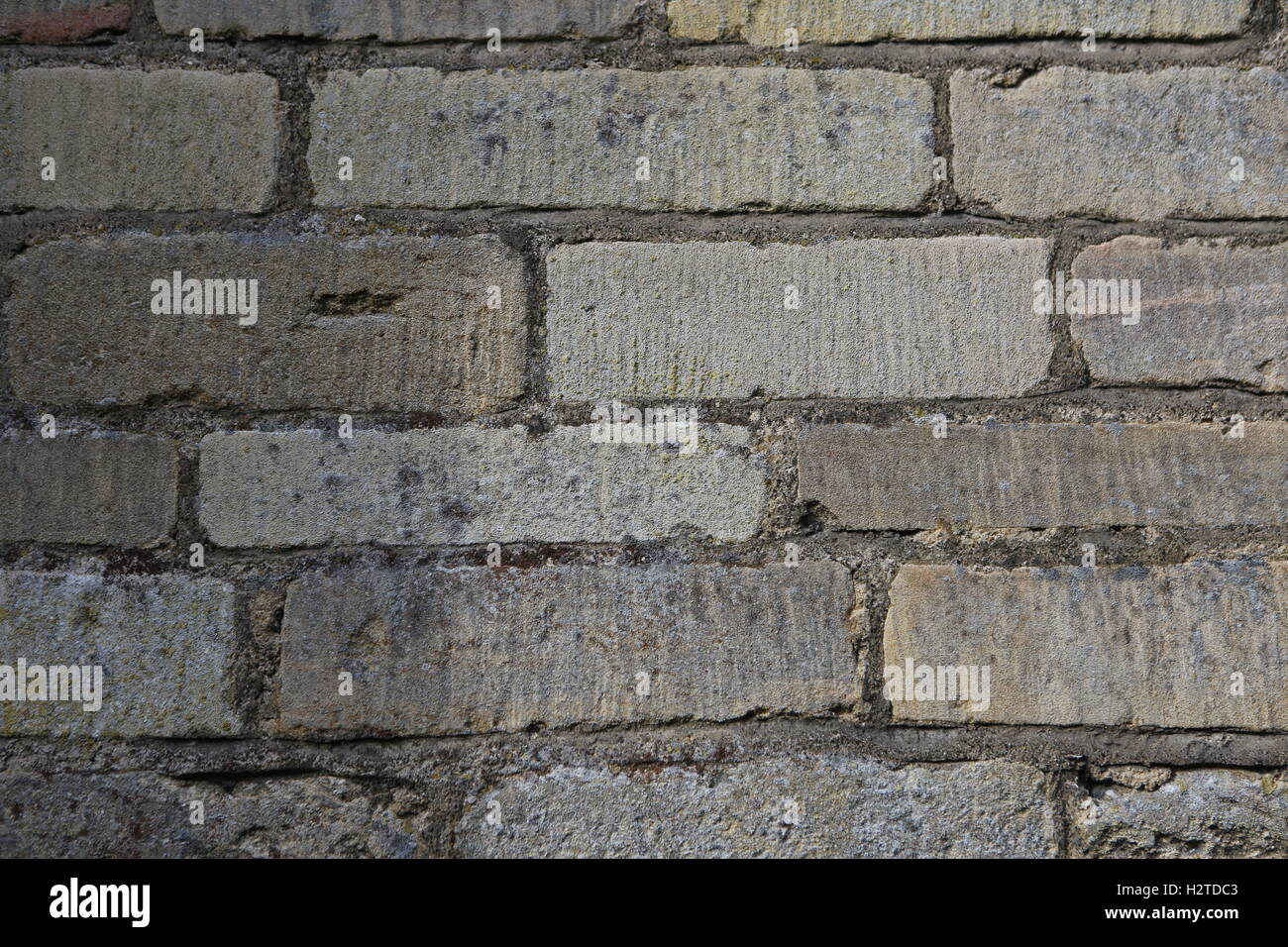 Muro di pietra Lincs Foto Stock