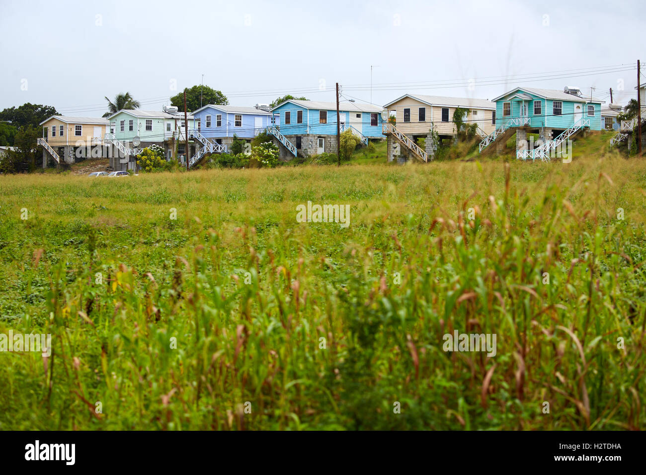 Case di Barbados baracche di colore luminoso tipico paesino a nord dell'isola shack copyspace case tradizionali del paesaggio ch Foto Stock