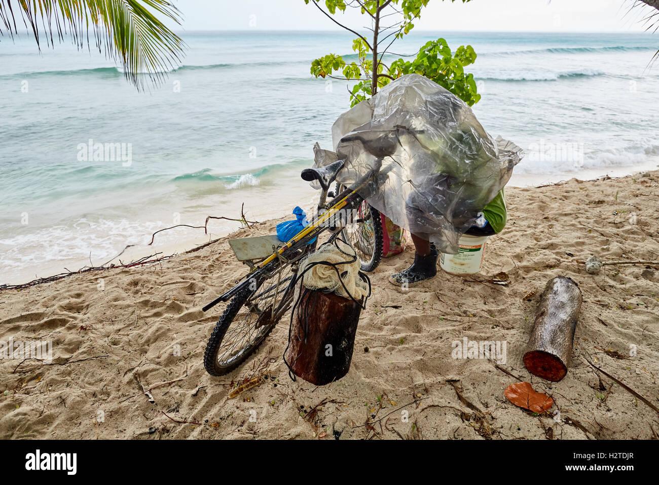 Barbados fisherman scuoiatura bike Hastings beach hotel Savannah pescatore nativo di lavorare sotto il catrame foglio di polarizzazione del ciclo di sabbia di pesce Foto Stock